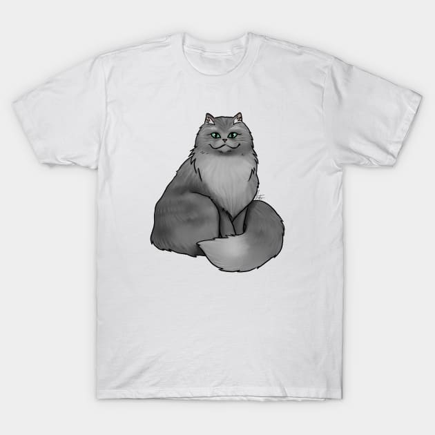 Persian cat shirt 2025